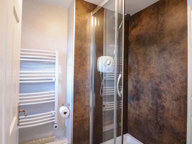 A bathroom with a glass shower enclosure and a white towel radiator with a toilet paper holder at Beachcomber Maer near Bude