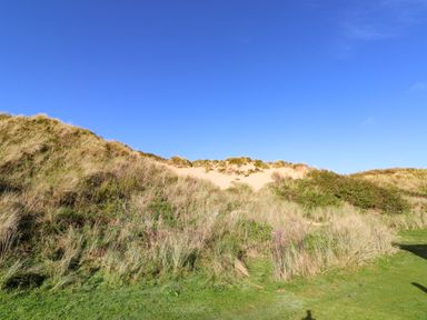 Sand dunes with grass and bushes under a clear blue sky at Chalet 3 Wipeout in Hayle