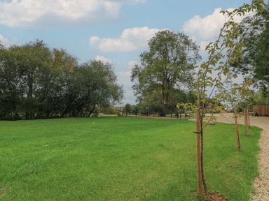 An outdoor area with young trees supported by wooden stakes a grassy lawn a gravel path and mature trees in the background at Badger's Burrow South Luffenham near Edith Weston