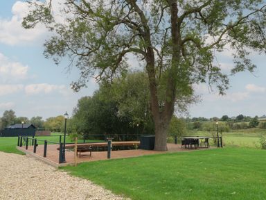 A wooden deck surrounding a tree with outdoor furniture and lamp posts in a grassy area at Badger's Burrow South Luffenham near Edith Weston