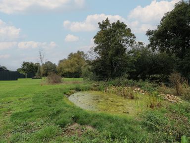 A small pond surrounded by grass and plants with trees in the background at Badgers Burrow in South Luffenham near Edith Weston