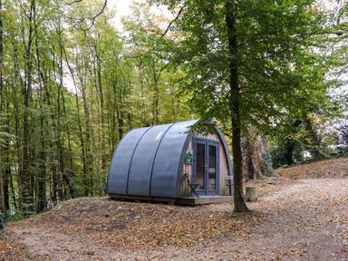 A small pod structure with a curved roof in a wooded area at Ballybeg Pod 1 Ballybeg near Tinahely County Wicklow