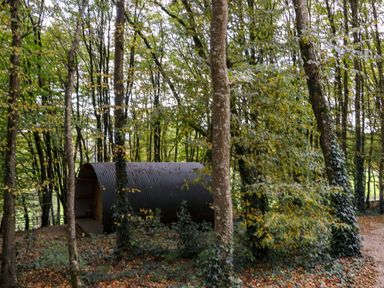 A wooded area with trees and a curved metal cabin at Ballybeg Pod 3 in Tinahely County Wicklow