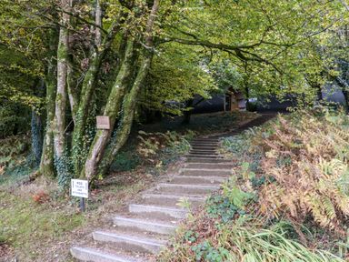 A path with concrete stairs leading uphill surrounded by trees and bushes at Ballybeg Pod 3 in Tinahely County Wicklow
