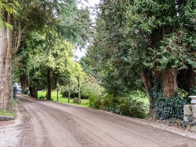 A tree-lined dirt driveway with green grass and bushes at Ballybeg Pod 5 Ballybeg near Tinahely County Wicklow