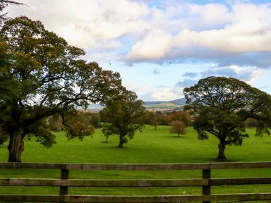 A green field with large trees and a wooden fence in the foreground at Ballybeg Pod 6 Ballybeg near Tinahely County Wicklow