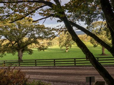 A green field with trees fenced by wooden rails and a dirt road in the foreground at Ballybeg Pod 8 Ballybeg near Tinahely County Wicklow