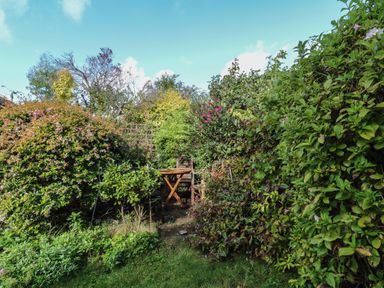 A garden area with green bushes and a wooden table with chairs at Old Harry Cottage 16 in Swanage