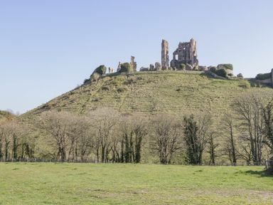 A hill with ancient castle ruins on top surrounded by trees and grass at Old Harry Cottage 16 in Swanage