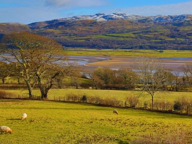A grassy field with sheep and leafless trees near a body of water with hills in the background at Artists Cottage in Minffordd near Penrhyndeudraeth
