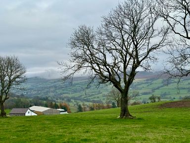 A grassy field with leafless trees and buildings with hills in the background at Beudy Pwll Pridd in Llangollen
