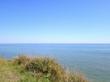 A grassy cliff with bushes overlooking a calm sea under a clear blue sky at 102 Waterside Park in Corton