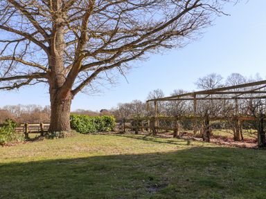 A large leafless tree next to a fenced garden with trellises on grass at Holm Oak Lodge in Tendring near Weeley