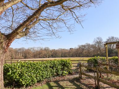 A garden with trimmed bushes a leafless tree and a wooden fence with fields and trees in the background at Holm Oak Lodge in Tendring near Weeley