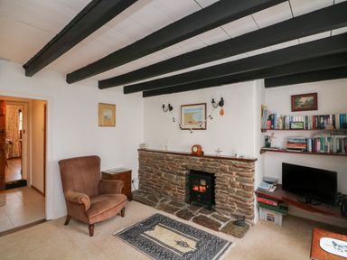A living room with a stone fireplace a chair bookshelves and a television at Vine Cottage in East Prawle