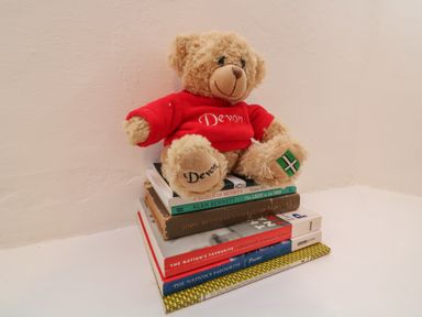 A teddy bear wearing a red Devon sweater sitting on a stack of books on a white surface