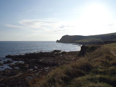 A rocky coastline with cliffs and a grassy path by the sea at Vine Cottage in East Prawle
