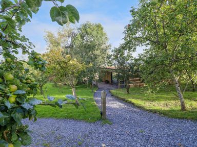 A gravel path leading to a wooden building surrounded by fruit trees and grass at Orchard Lodge in Maerdy near Corwen