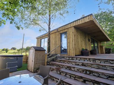 An outdoor patio area with stone steps leading to a wooden cabin with glass doors and a tree beside it at Orchard Lodge in Maerdy near Corwen