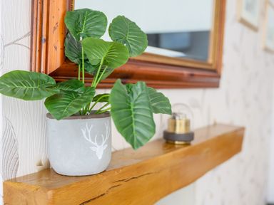 A plant in a pot on a wooden shelf below a wooden framed mirror at Howard Cottage in North Littleton near Offenham