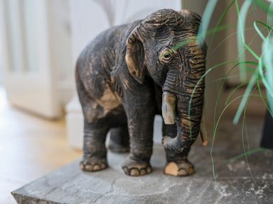 A small elephant sculpture on a stone surface near a plant at Howard Cottage in North Littleton near Offenham