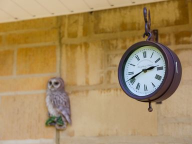 A wall clock with roman numerals and a decorative owl mounted on a brick wall at Howard Cottage in North Littleton near Offenham