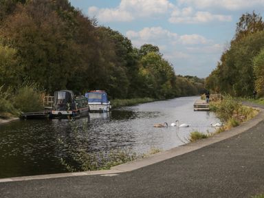 A canal with boats and swans near a pathway and trees at Oak in Denny