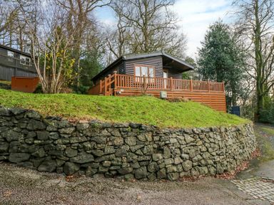 A wooden cabin on a grassy hill behind a stone wall surrounded by trees at Esk Pike 9 Skiptory Howe White Cross Bay near Windermere