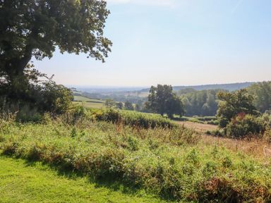 A rural landscape with grassy fields trees and shrubs under a clear sky at Sherway Dairy in Clyst Hydon near Bradninch