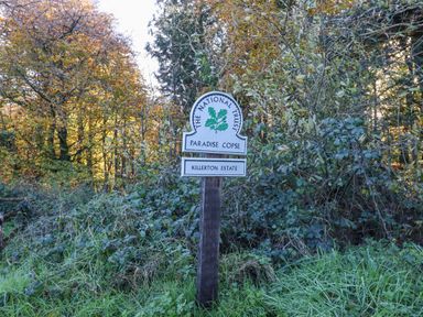 A National Trust sign for Paradise Copse Killerton Estate in a wooded area with grass and bushes