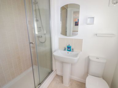 A bathroom with a shower enclosure sink with handwash and toilet at 69 Ffordd Y Meillion in Llanelli