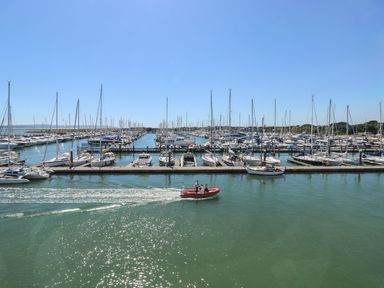 A marina with many sailboats docked and a small motorboat on the water at Forbes C1 in Yarmouth