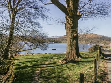 A lakeside view with a tree and a boat at Claife Flights in Bowness-On-Windermere