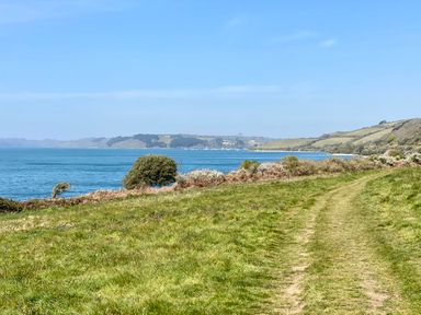 A grassy path along the coast with bushes and water at 3 The Bowling Green in St Just in Roseland near St Mawes
