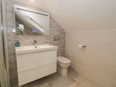 A bathroom with a sink and mirror above it a toilet and a toilet paper holder at The Gables in Tywyn