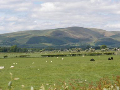A rural landscape with sheep grazing on a grassy field and hills in the background at The Gables in Tywyn