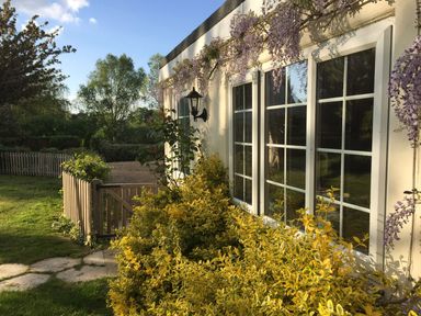 A garden with yellow shrubs and a wooden fence next to a building with large windows at October House Holiday Cabin in Damerham