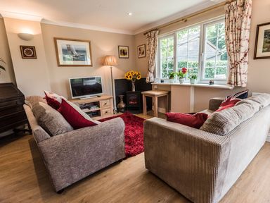 A living room with two sofas a television on a wooden stand a small fireplace and window with potted plants at October House Holiday Cabin in Damerham
