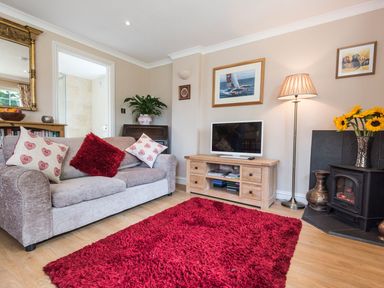 A living room with a sofa cushions TV stand and a red rug at October House Holiday Cabin in Damerham