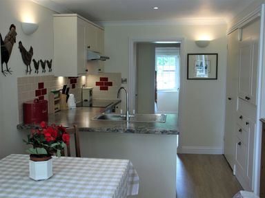 A kitchen with a sink on a counter and a table with a red flower in a pot at October House Holiday Cabin in Damerham