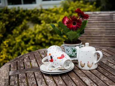 A wooden outdoor table with a potted red flower and ceramic teapot and mugs with bird designs at October House Holiday Cabin Damerham