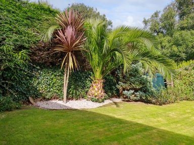 A garden with palm trees and other plants on grass at Trestar in Polzeath