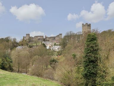 A castle ruin and tower behind houses and trees in a rural landscape