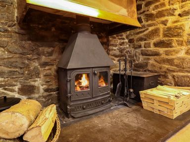 A wood stove with firewood next to it in a living room at Bryn Y Garreg - The Wireless Free Farm (No Tech!) Y Trallwng