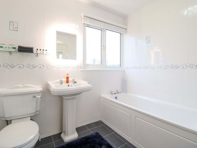 A bathroom with a sink, toilet, and bathtub at Bryn Y Garreg - The Wireless Free Farm (No Tech!) Y Trallwng