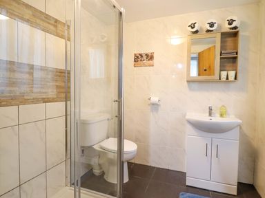 A bathroom with a shower, toilet, and sink at Bryn Y Garreg - The Wireless Free Farm (No Tech!) Y Trallwng
