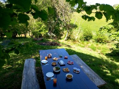 A table set with food and drinks in an outdoor area at Bryn Y Garreg - The Wireless Free Farm (No Tech!) Llangadfan near Llanwddyn
