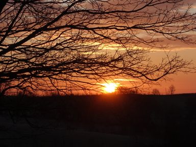 Sunset view with tree branches in silhouette at Bryn Y Garreg - The Wireless Free Farm (No Tech!) Llangadfan near Llanwddyn