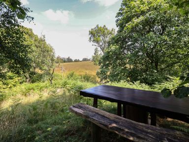 A table and bench surrounded by trees and grass near a field at Bryn Y Garreg Cottage - The Wireless Free Farm, Llangadfan near Llanwddyn