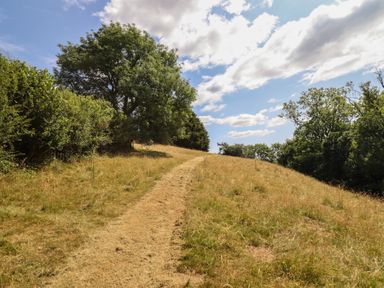 A path on a grassy hillside with trees under a cloudy sky at Bryn Y Garreg Cottage - The Wireless Free Farm, Llangadfan near Llanwddyn